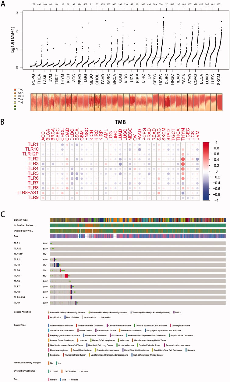 PMC9272932 – F0005