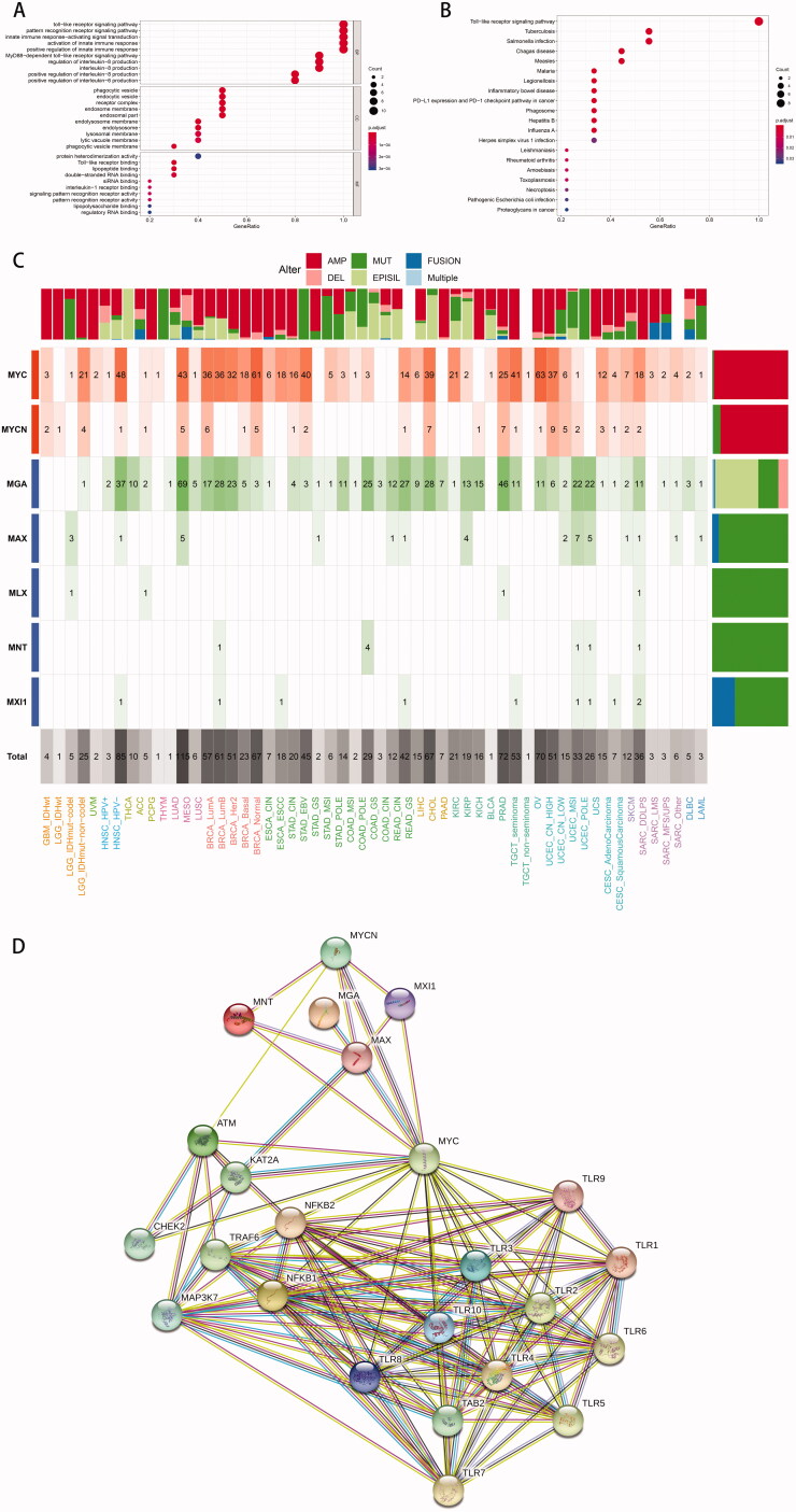 PMC9272932 – F0007