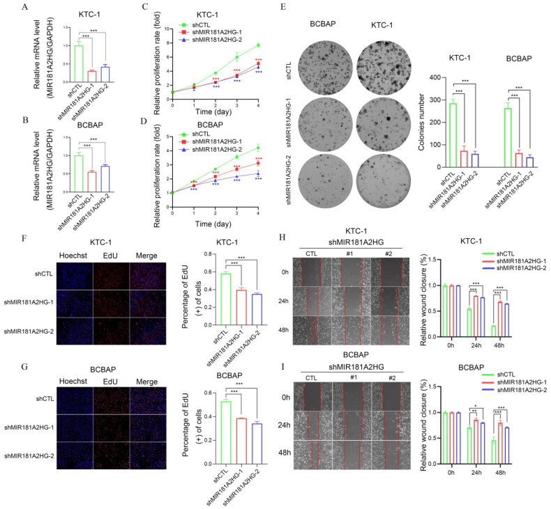 PMC10054316 – F0009