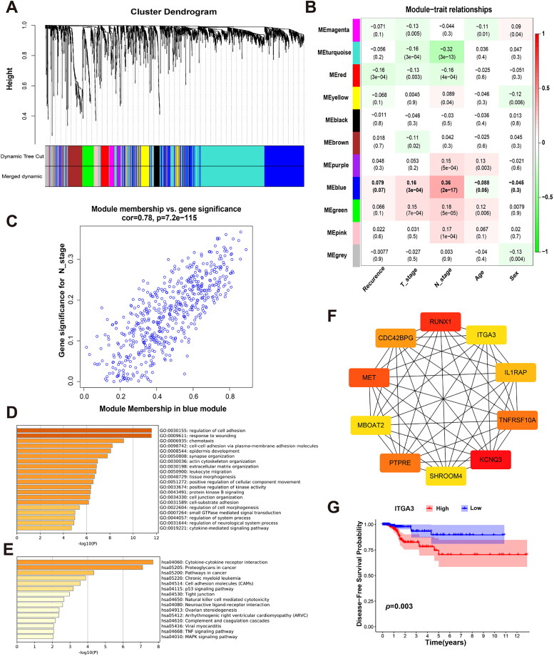 PMC11948363 – F0001