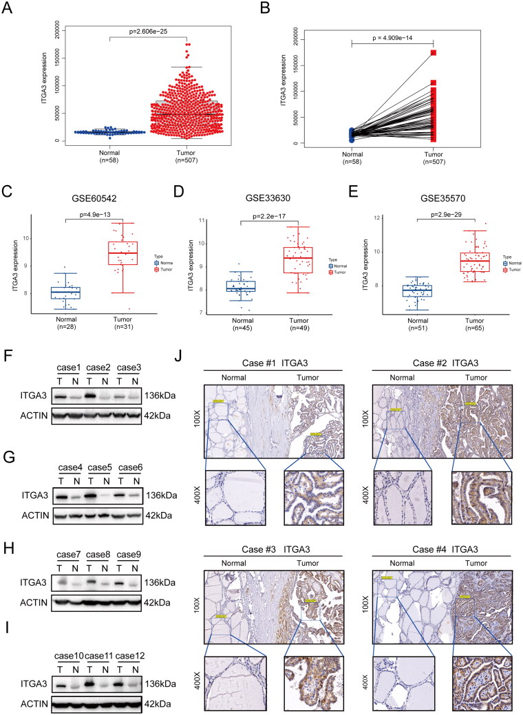 PMC11948363 – F0002