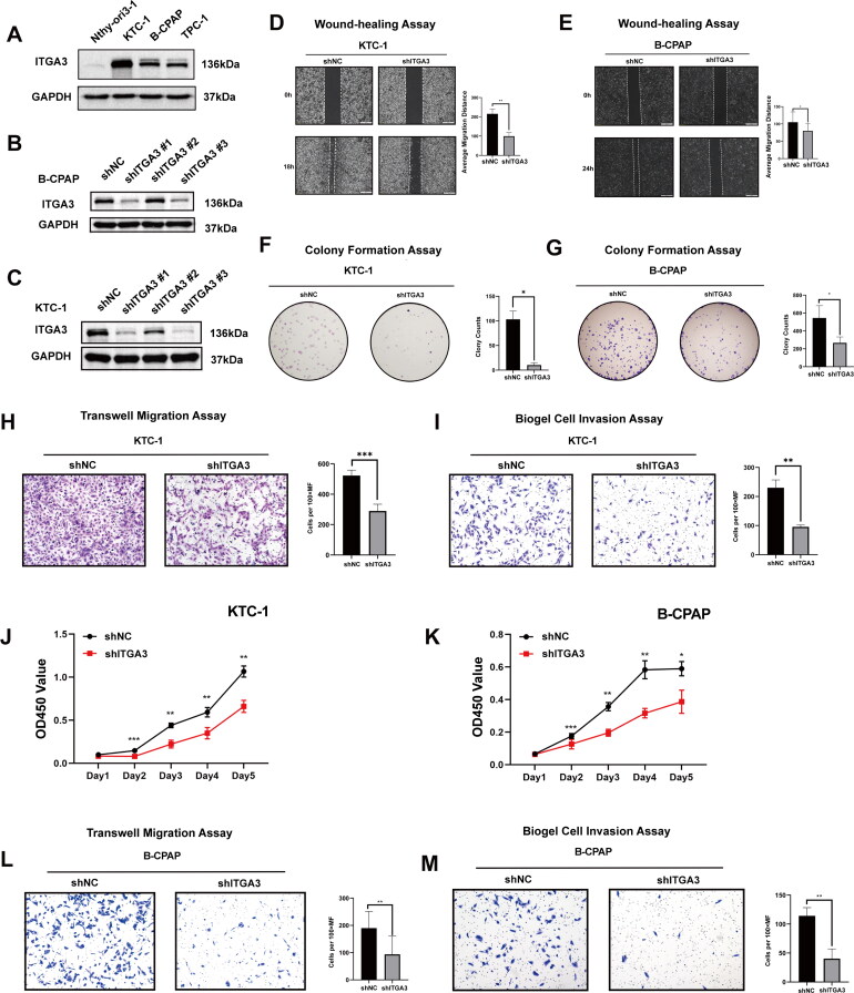 PMC11948363 – F0003