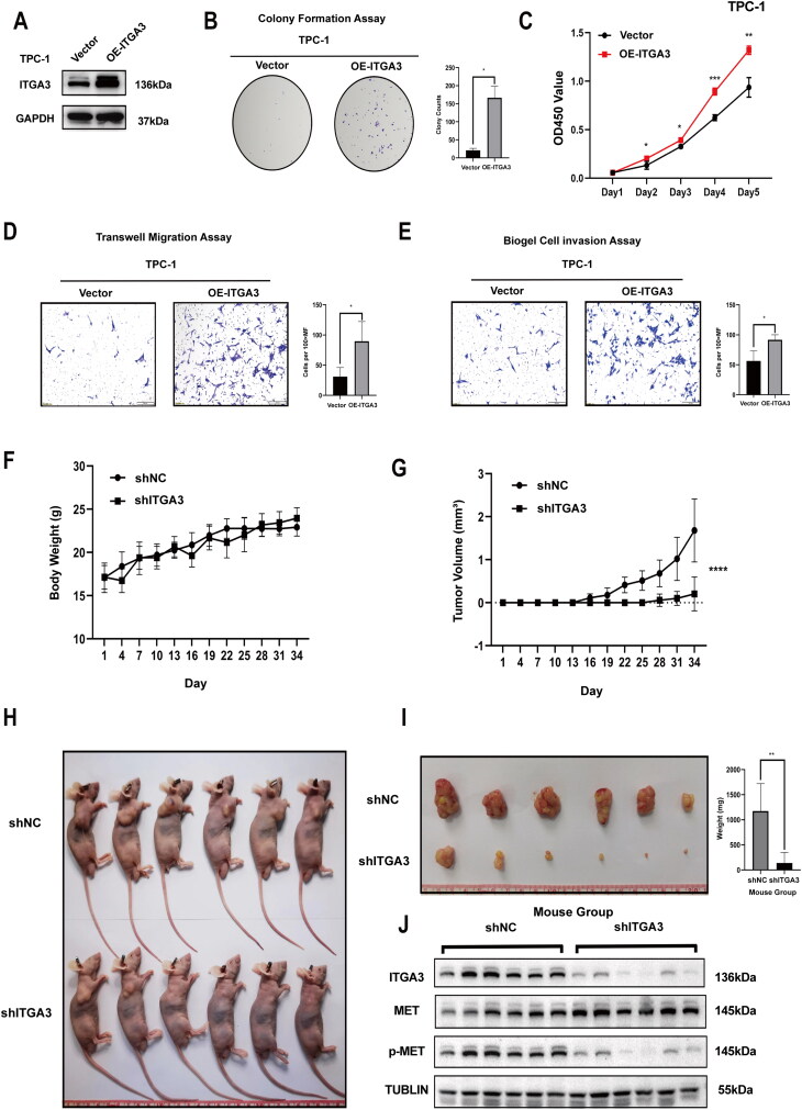 PMC11948363 – F0004