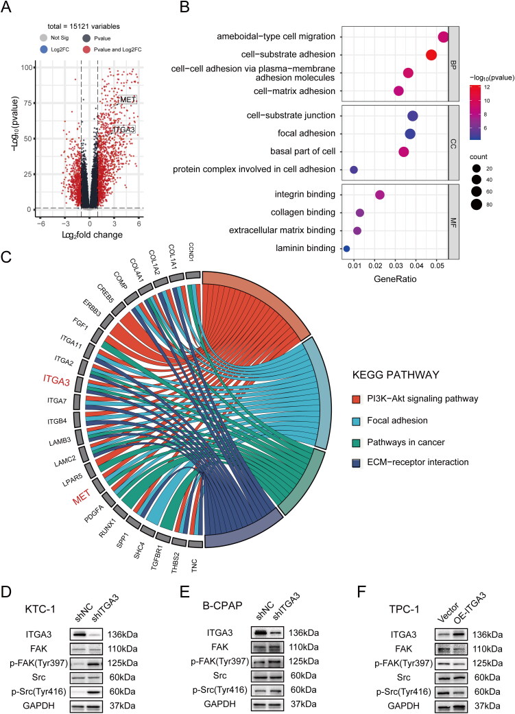 PMC11948363 – F0005