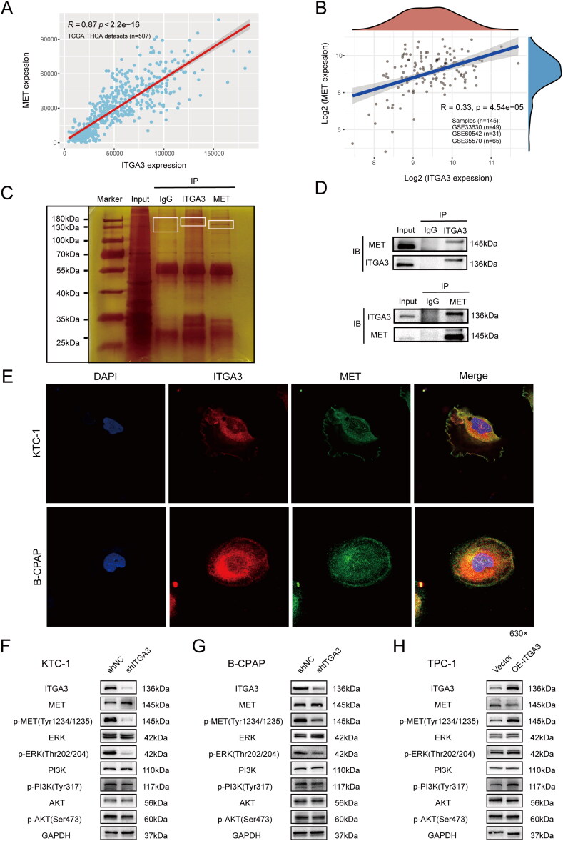 PMC11948363 – F0006