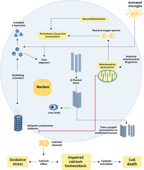 PMC10529016 – ibra12011-fig-0006