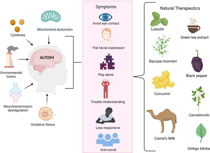 PMC10528773 – ibra12050-fig-0001