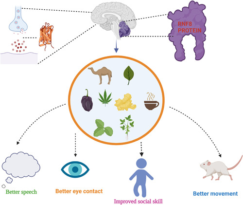 PMC10528773 – ibra12050-fig-0002