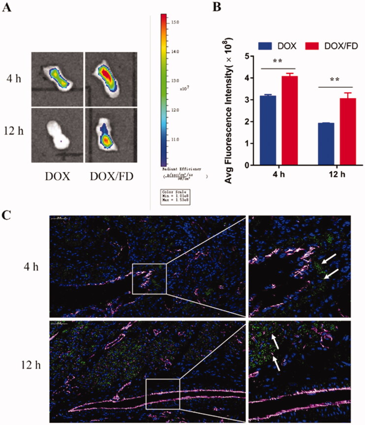 PMC9045765 – F0003
