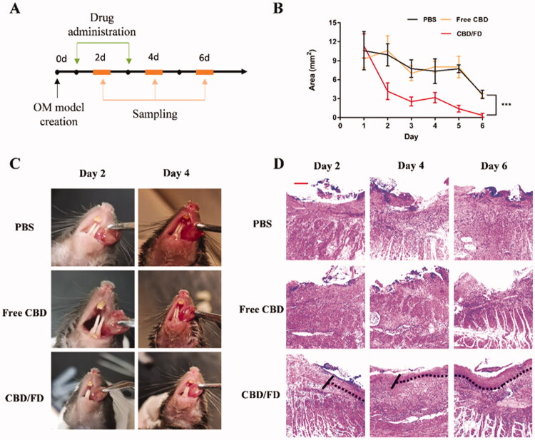 PMC9045765 – F0007