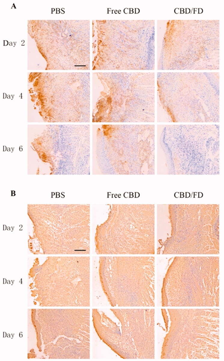 PMC9045765 – F0008