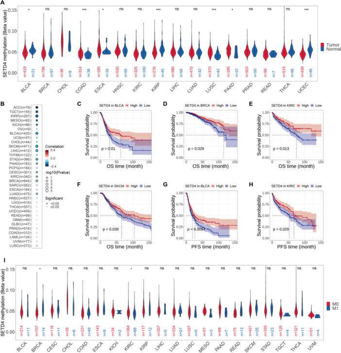 PMC11736640 – iid370126-fig-0003