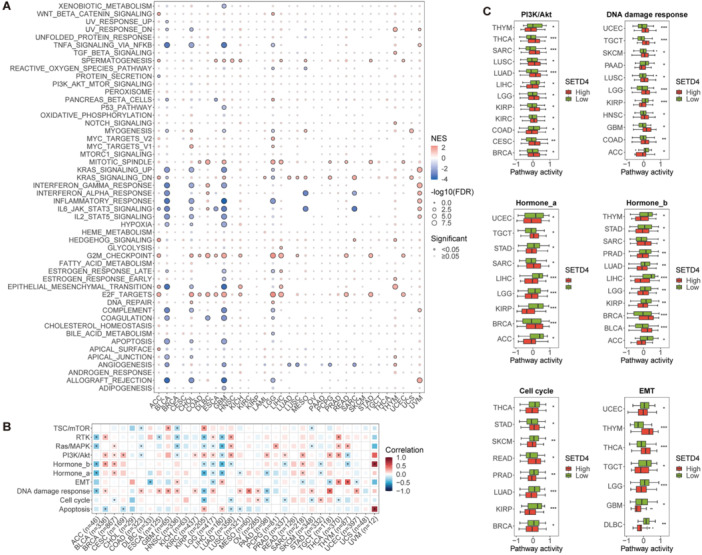 PMC11736640 – iid370126-fig-0004