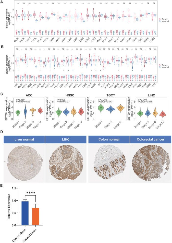 PMC11736640 – iid370126-fig-0001