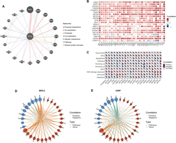 PMC11736640 – iid370126-fig-0005