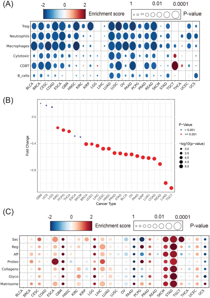 PMC12712361 – ijc70175-fig-0006