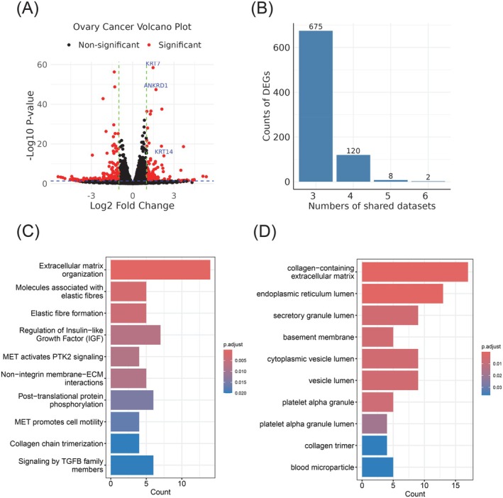 PMC12712361 – ijc70175-fig-0002