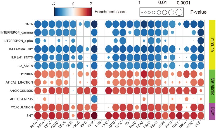 PMC12712361 – ijc70175-fig-0005