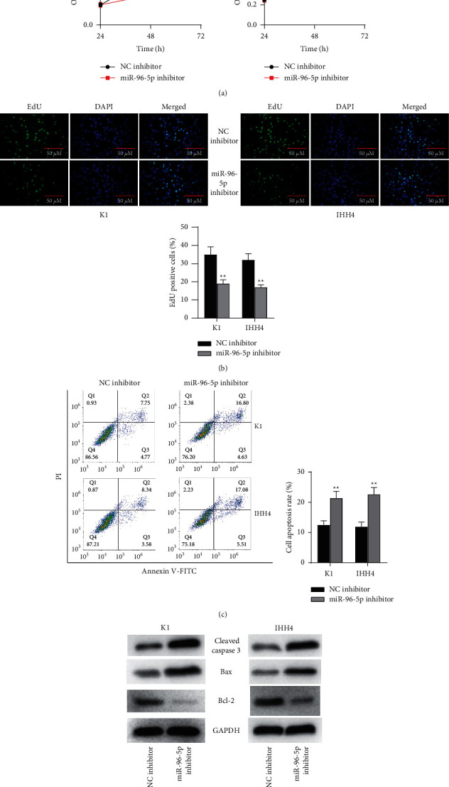 PMC8564208 – fig4