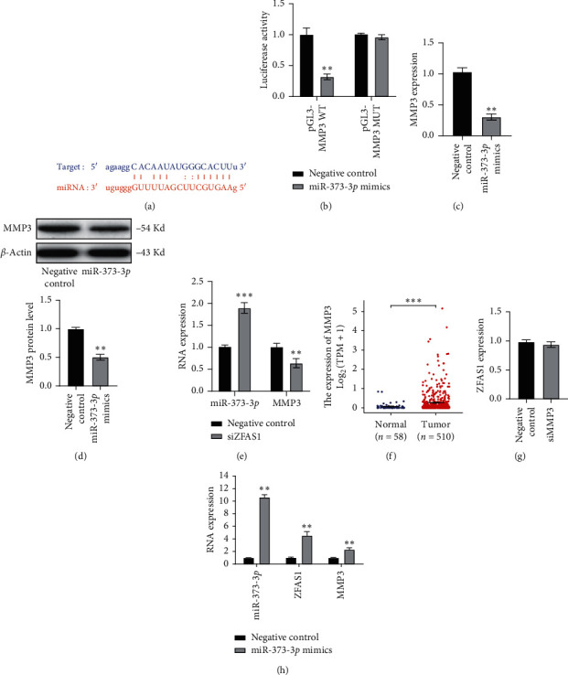 PMC8238556 – fig4