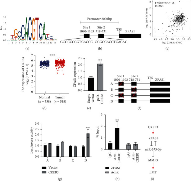 PMC8238556 – fig5