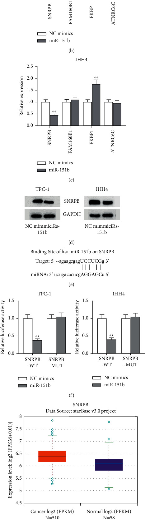 PMC8888066 – fig4