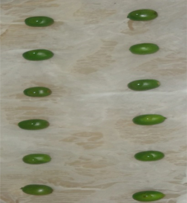 PMC12404338 – figpt-0001