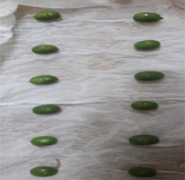 PMC12404338 – figpt-0002