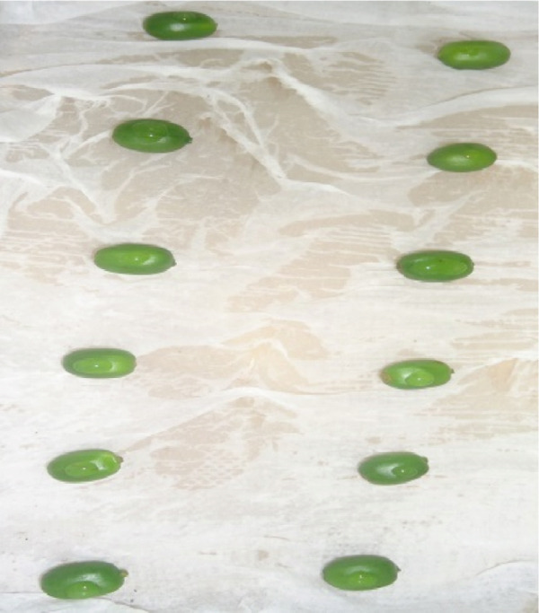 PMC12404338 – figpt-0003