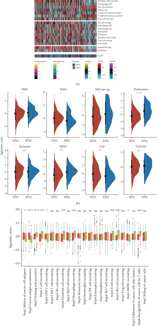 PMC11774578 – fig4