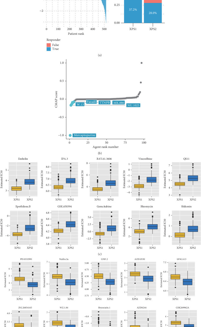 PMC11774578 – fig5