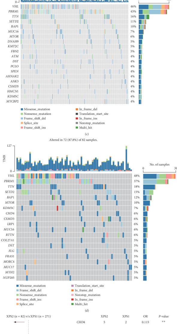 PMC11774578 – fig6