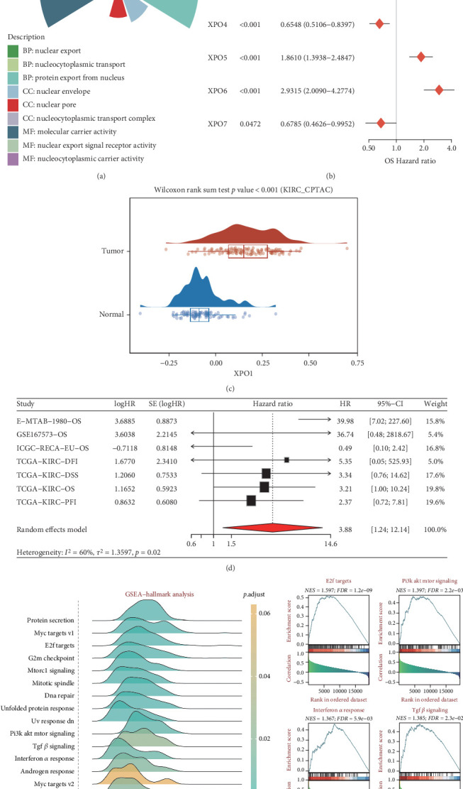 PMC11774578 – fig7