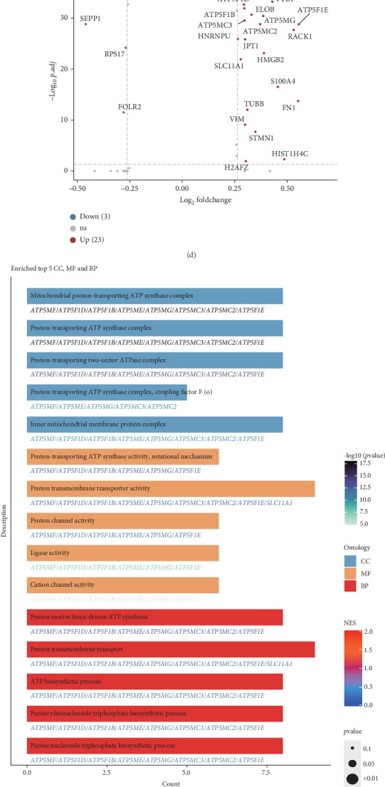 PMC11774578 – fig8