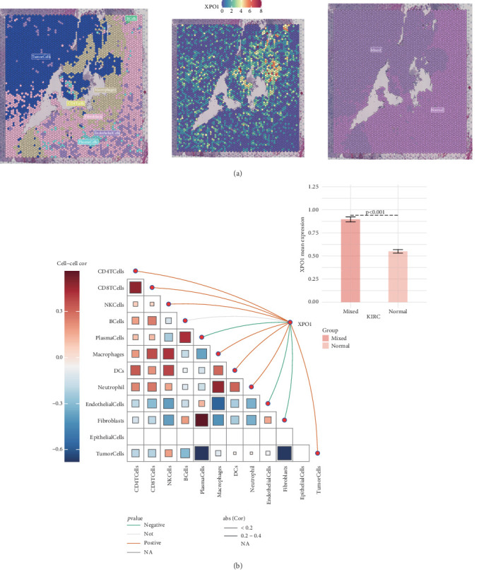PMC11774578 – fig9