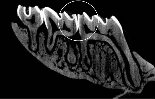 PMC12752900 – figpt-0008