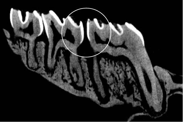 PMC12752900 – figpt-0003