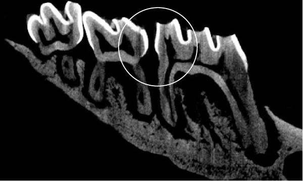 PMC12752900 – figpt-0002