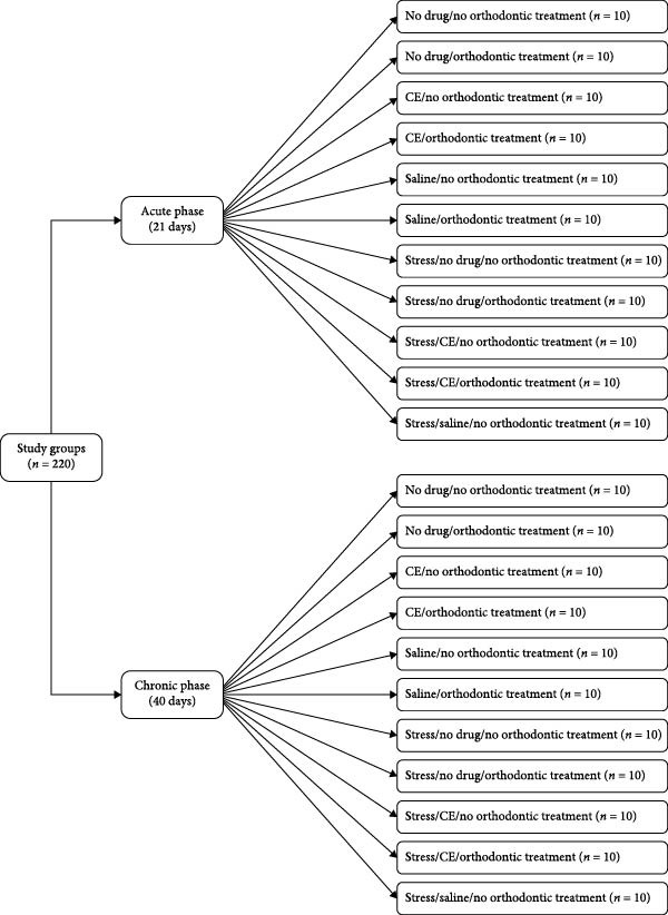 PMC12752900 – fig-0001