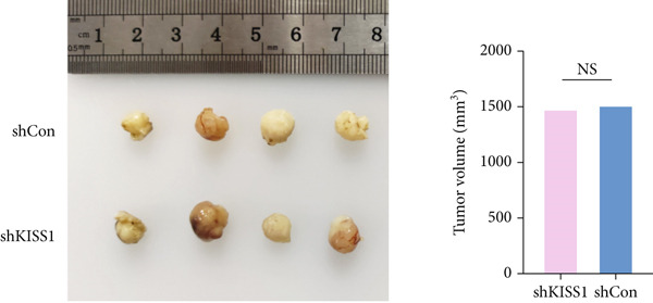 PMC12780545 – figpt-0031