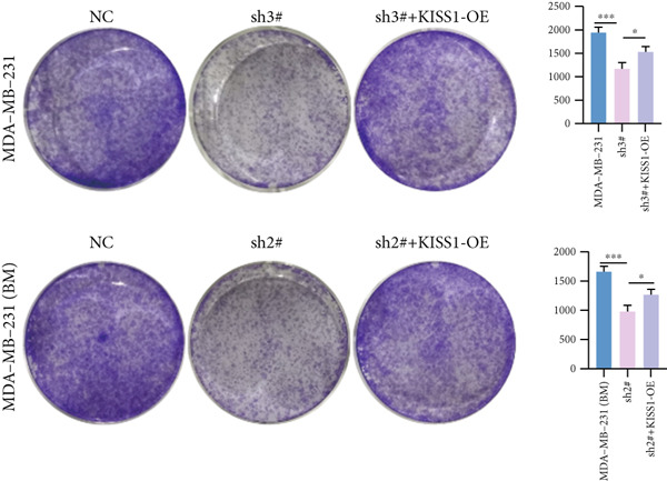 PMC12780545 – figpt-0028