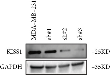 PMC12780545 – figpt-0024