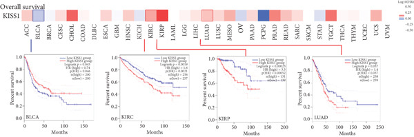 PMC12780545 – figpt-0009