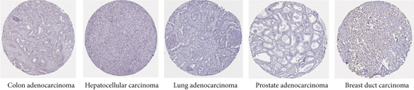 PMC12780545 – figpt-0004