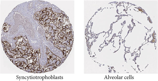 PMC12780545 – figpt-0003