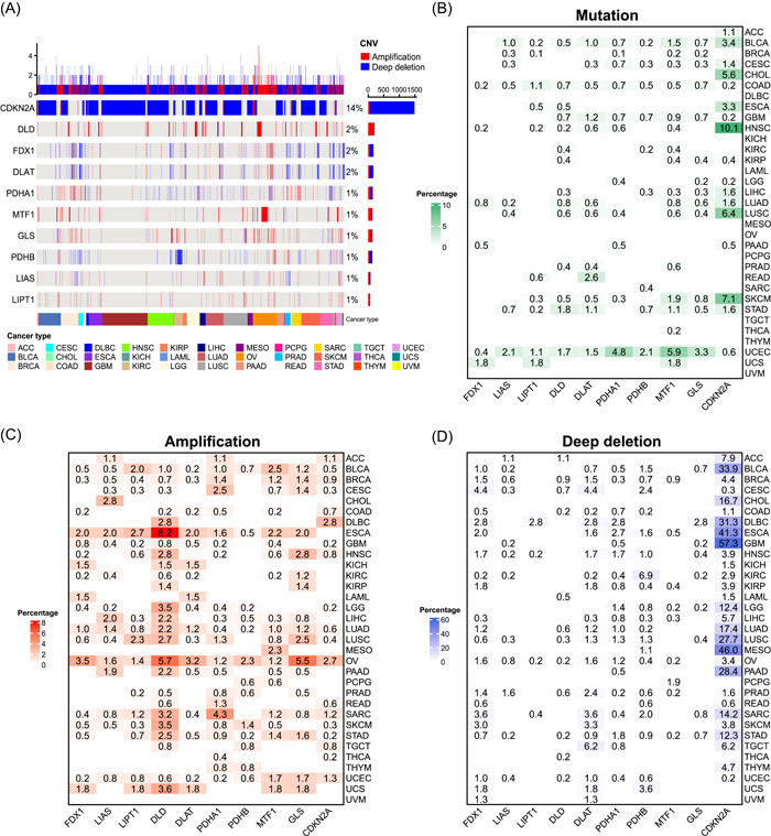 PMC10989956 – imt268-fig-0002