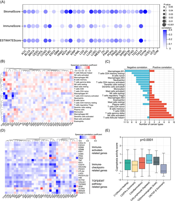 PMC10989956 – imt268-fig-0008
