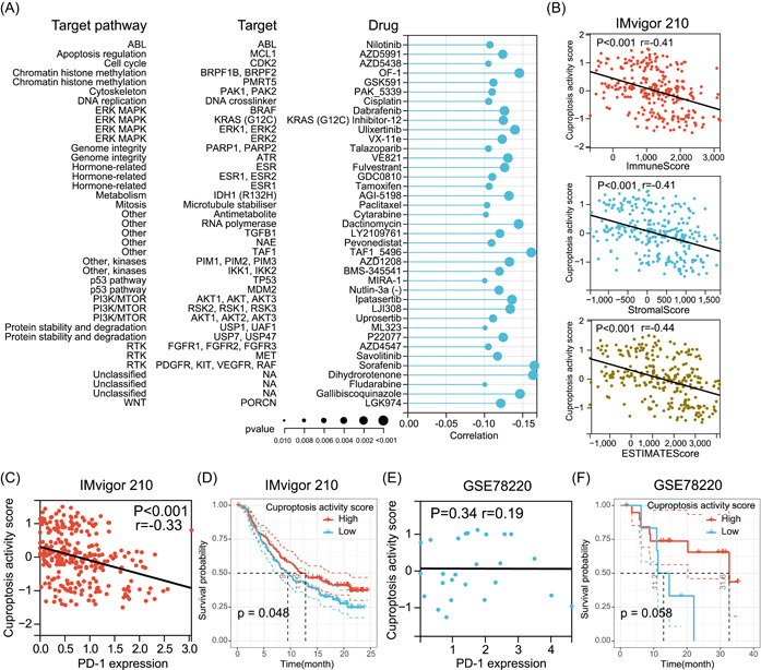 PMC10989956 – imt268-fig-0009