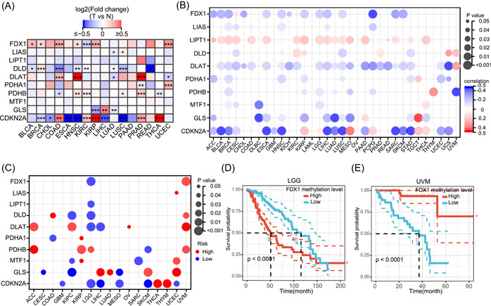 PMC10989956 – imt268-fig-0004