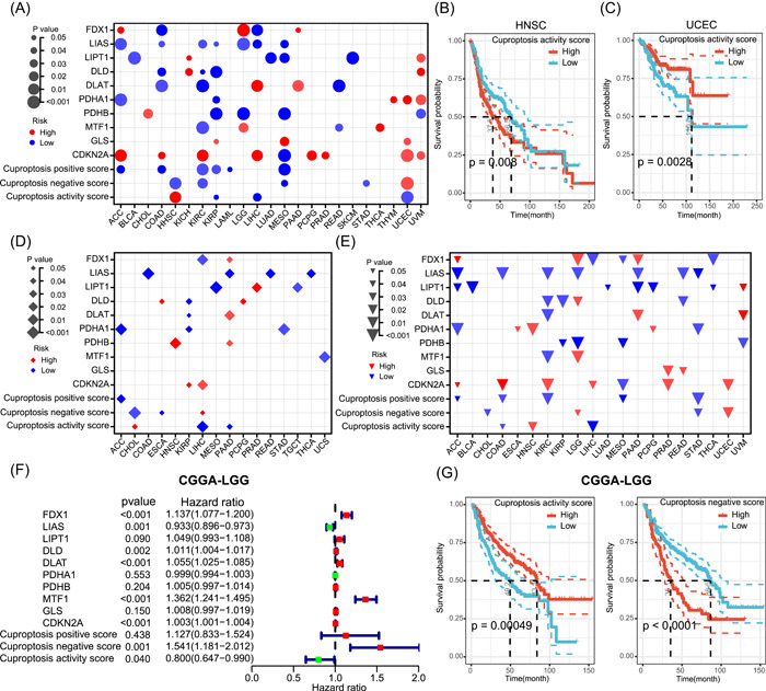 PMC10989956 – imt268-fig-0006
